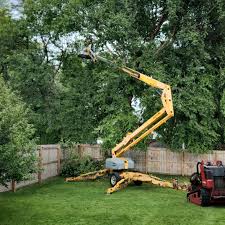 Best Tree Disease Treatment  in Locust Grove, GA